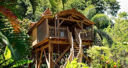Tree house