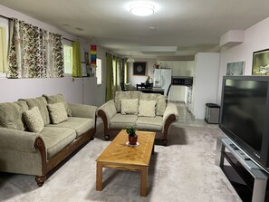 TV connectée, cheminée, lecteur de DVD, livres