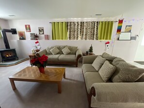 Smart TV, fireplace, DVD player, books