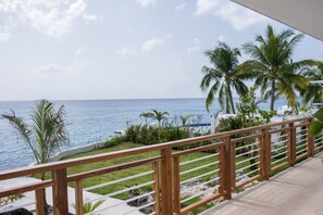 Property grounds - Private Oceanfront Villa / Fully Staffed / daily cleaning and concierge. (San Miguel de Cozumel)