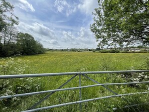 Cabin, 1 Queen Bed | Property grounds