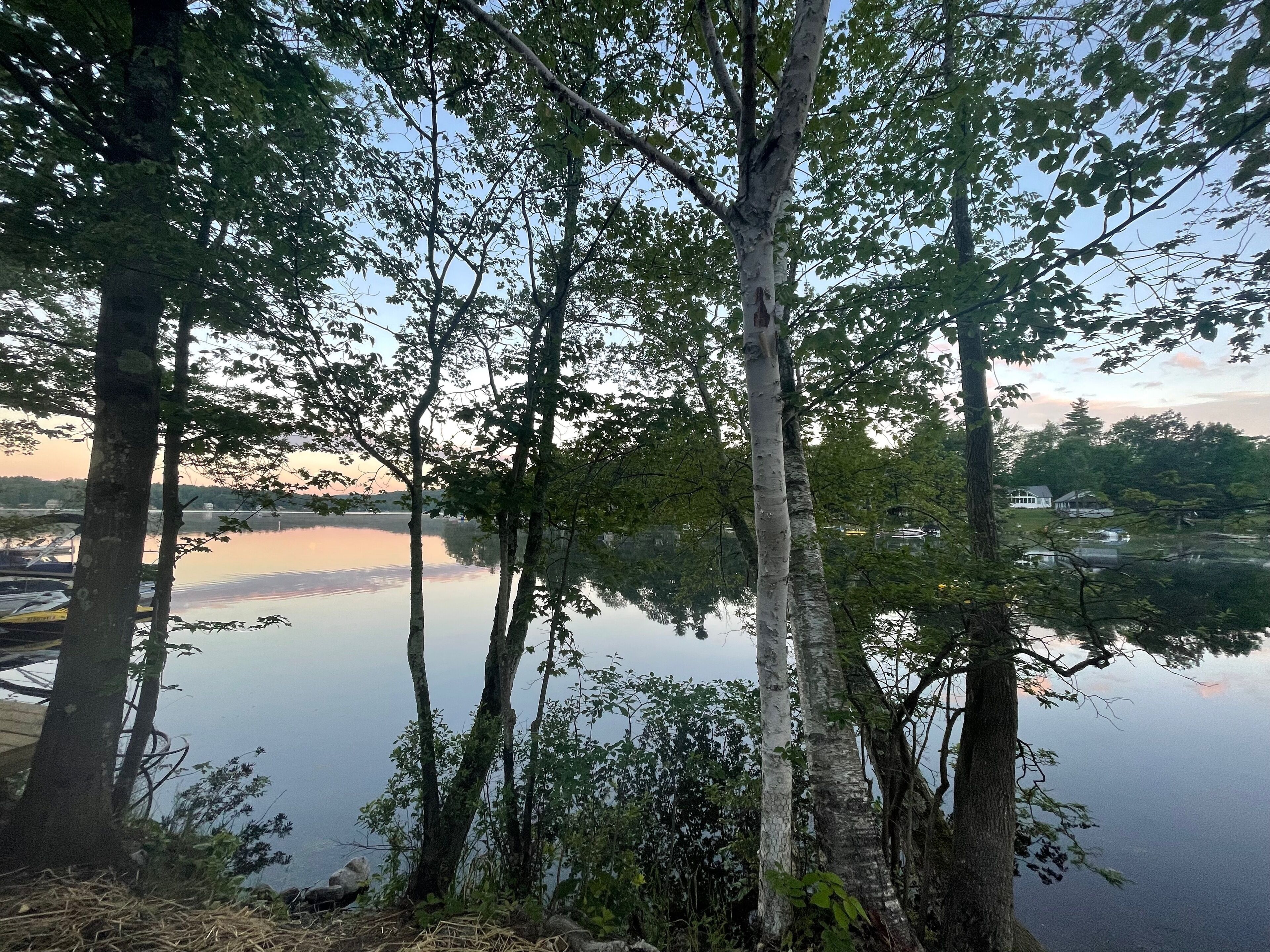 Una vista tranquila del lago, con altos árboles y una superficie acuática calma que refleja el cielo.