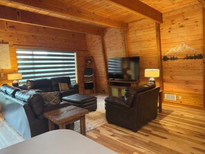 Smart TV, chimenea, reproductor de DVD, libros