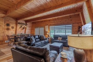 Smart TV, fireplace, DVD player, books