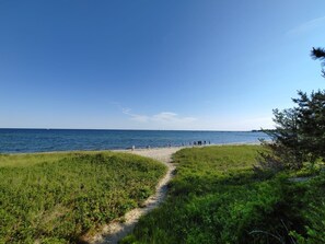 A beach path leading to the sea with a clear sky. - Charming cottage in Hyannis walk to downtown, beach, Harbor, pet friendly fence (Barnstable)