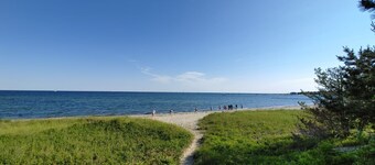 Charming cottage in Hyannis walk to downtown, beach, Harbor, pet friendly fence