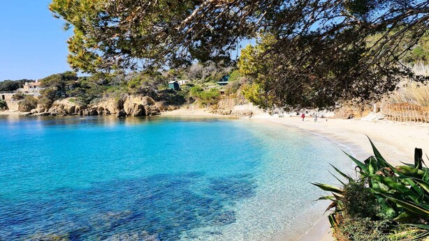 Ein Strand mit klarem, blauem Wasser, sandigem Ufer und Felsen.