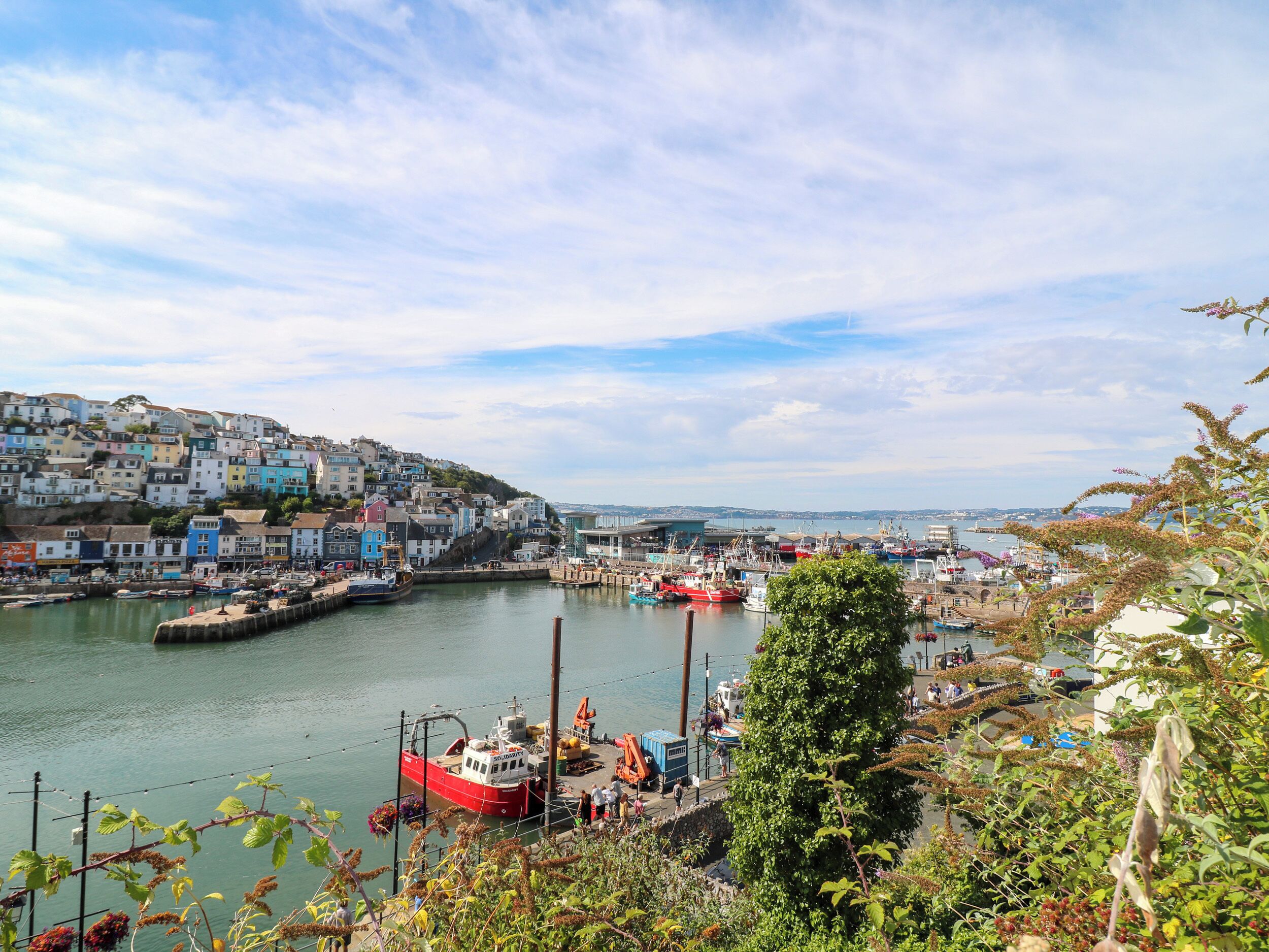 A harbor with boats, a dock, and a hillside of colorful buildings.