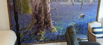 Bluebonnet Quest Quarters Near Historic District and old Downtowm Mckinney Shops