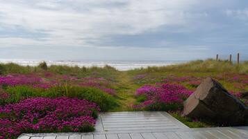 House, Multiple Beds (Pacific Sands) | Property grounds