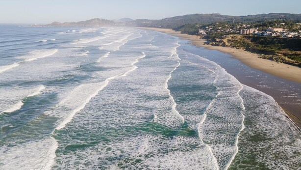 Unclassified image, 1 of 52, button - On The Beach (Newport)