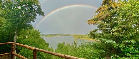 View from property
