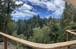 Property grounds - Brand New Mountain View Luxury (Felton)
