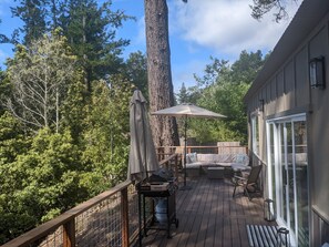 Terrace/patio - Brand New Mountain View Luxury (Felton)