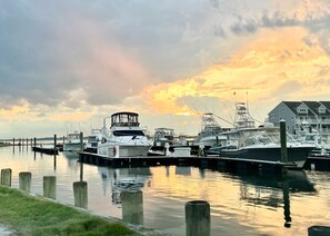 Marina - Waterfront Bethany Beach Cottage, Walk to Beach, Fish, Kayak - Dewey Rehoboth (Bethany Beach)
