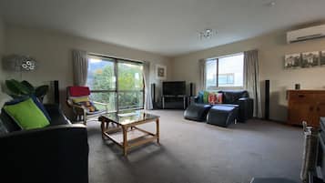 Smart TV, fireplace, books