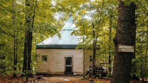 A treehouse named Oak Treehouse surrounded by a forest. - Island Tree House Glamping (Monmouth)