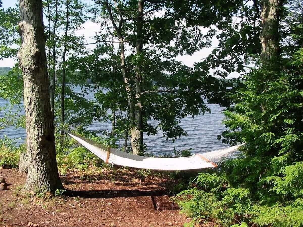 A hammock between trees by a lake.