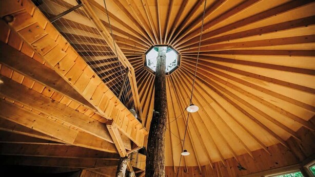 A wooden interior with a radial wooden ceiling design and a central skylight. - Island Tree House Glamping (Monmouth)
