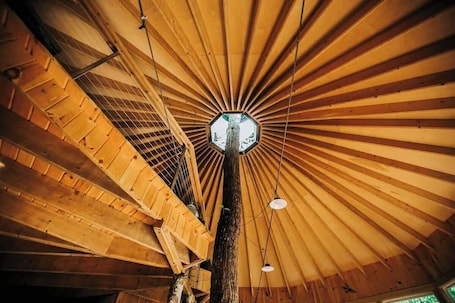 Interior. Island Tree House Glamping