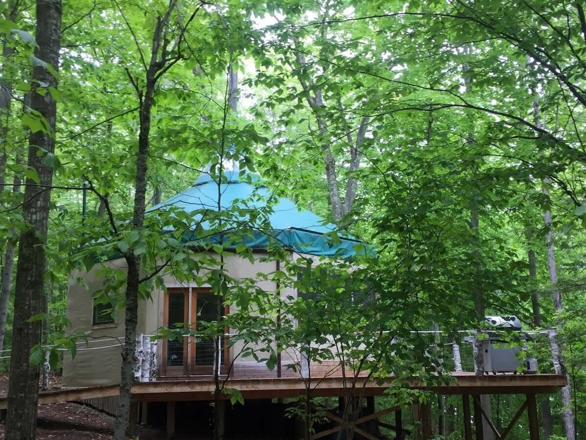 A cabin with a blue roof, surrounded by trees.