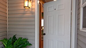 A wooden ceiling, a white door, a potted plant, and a striped rug.