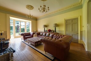 Smart TV, chimenea, reproductor de DVD y libros 