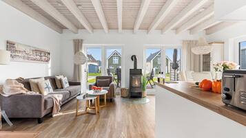 Fernseher, Kamin, Videothek