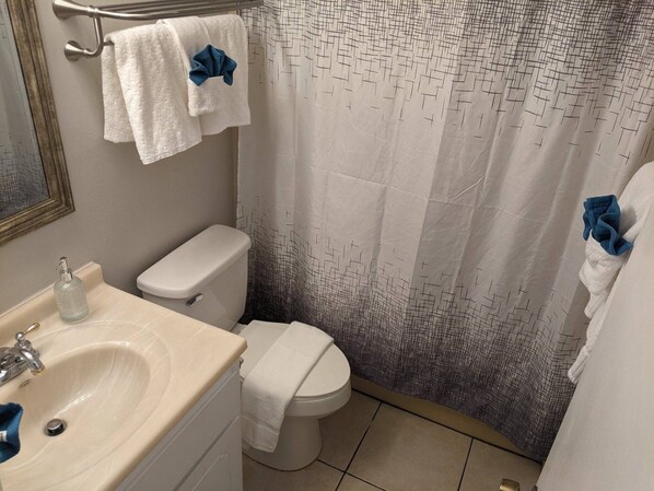 Ein Badezimmer mit Toilette, Waschbecken und Duschvorhang.