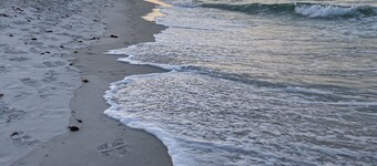 Family Retreat w yard, mins to Beach, Convention Center, AF Base. NO CLEAN FEE !