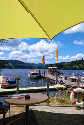 Ferienwohnung 'Waldkäuzle27' mit Bergblick, gemeinschaftlichen Pool & Balkon, Haustiere auf Anfrage