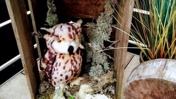 A wooden structure with a stuffed animal inside, surrounded by plants and a large root.