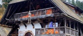 Holiday Apartment 'Waldkäuzle27' with Mountain View, Shared Pool & Balcony, Pets on Request