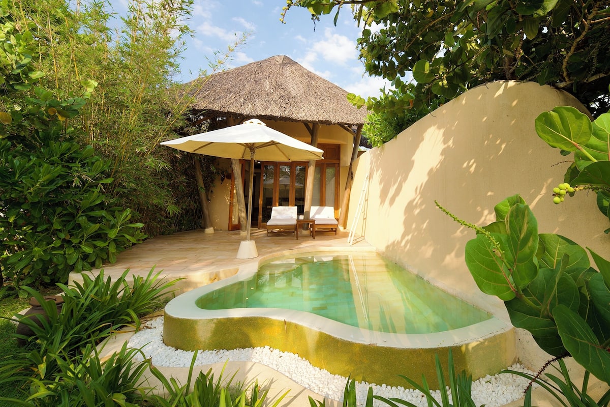 A pool with a thatched roof structure, a lounge area with chairs, and a garden with various plants.