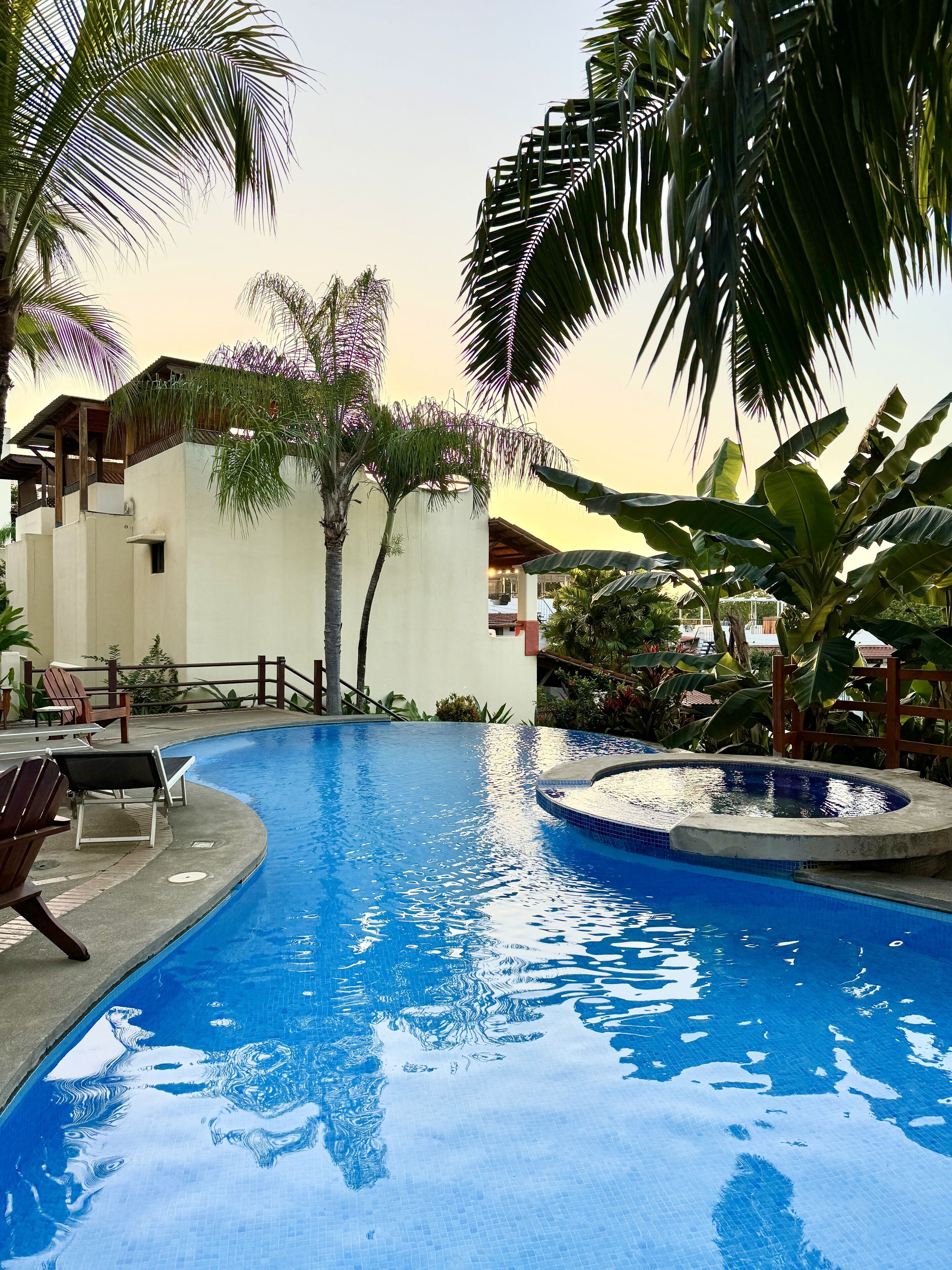 A swimming pool with lounge chairs and palm trees.