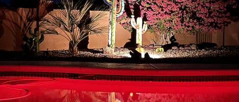 Vista nocturna de una piscina con borde rojo, rodeada de cactus y plantas con flores.