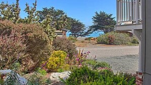A residential property with a driveway, garden, and a building with a balcony.