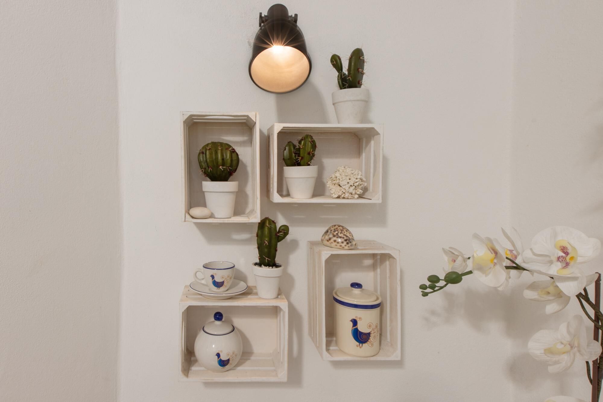 Foto - Cagliarifornia