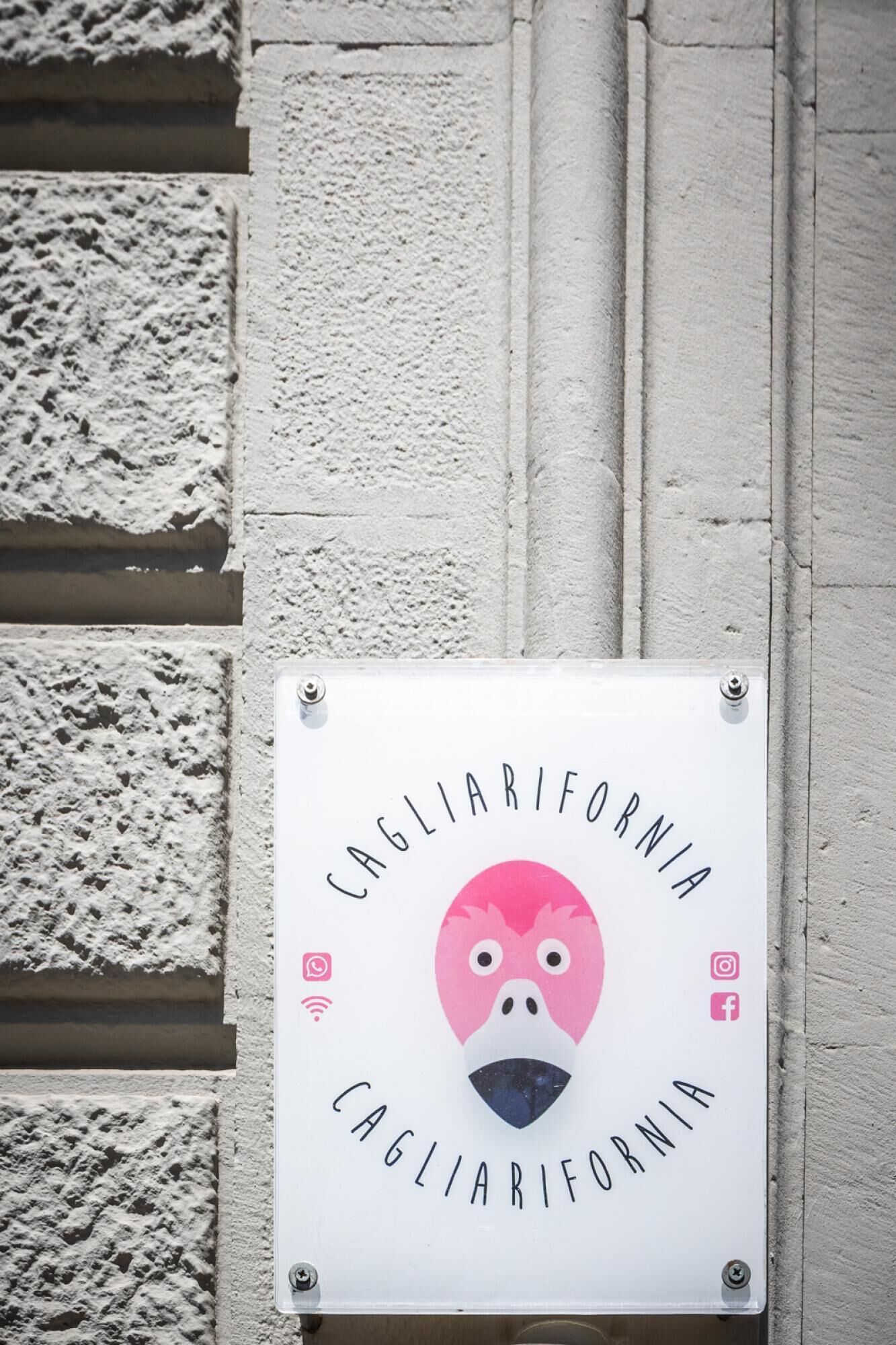 Foto - Cagliarifornia