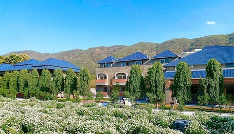 Interior. Nature Retreat Resorts