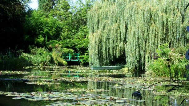 A serene pond with weeping willow trees, lily pads, and a green bridge. - Chic apart with parking (Mantes-la-Jolie)