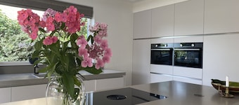 Family house, 4 x 2 bed, waterfront villa - Amsterdam