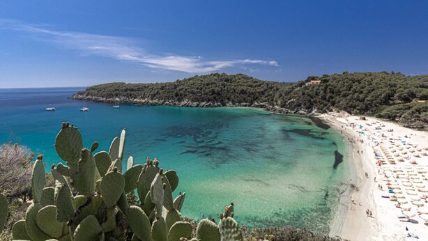A coastal beach with clear turquoise waters, a sandy shore, and a cactus in the foreground. - Nido, in Fetovaia, is a tastefully decorated  two-room apartment , with the terrace overlooking the (Fetovaia)