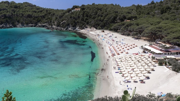 A beach with clear turquoise waters, white sand, and numerous umbrellas. - FETOVAIA1 - FETOVAIA 1 (Campo nell'Elba)