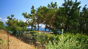 A coastal landscape with pine trees, a fenced area, and a view of the sea. - 100 metres to the crystal clear Adriatic Sea (Baska)