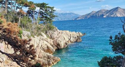 100 mĂštres de la mer Adriatique cristalline
