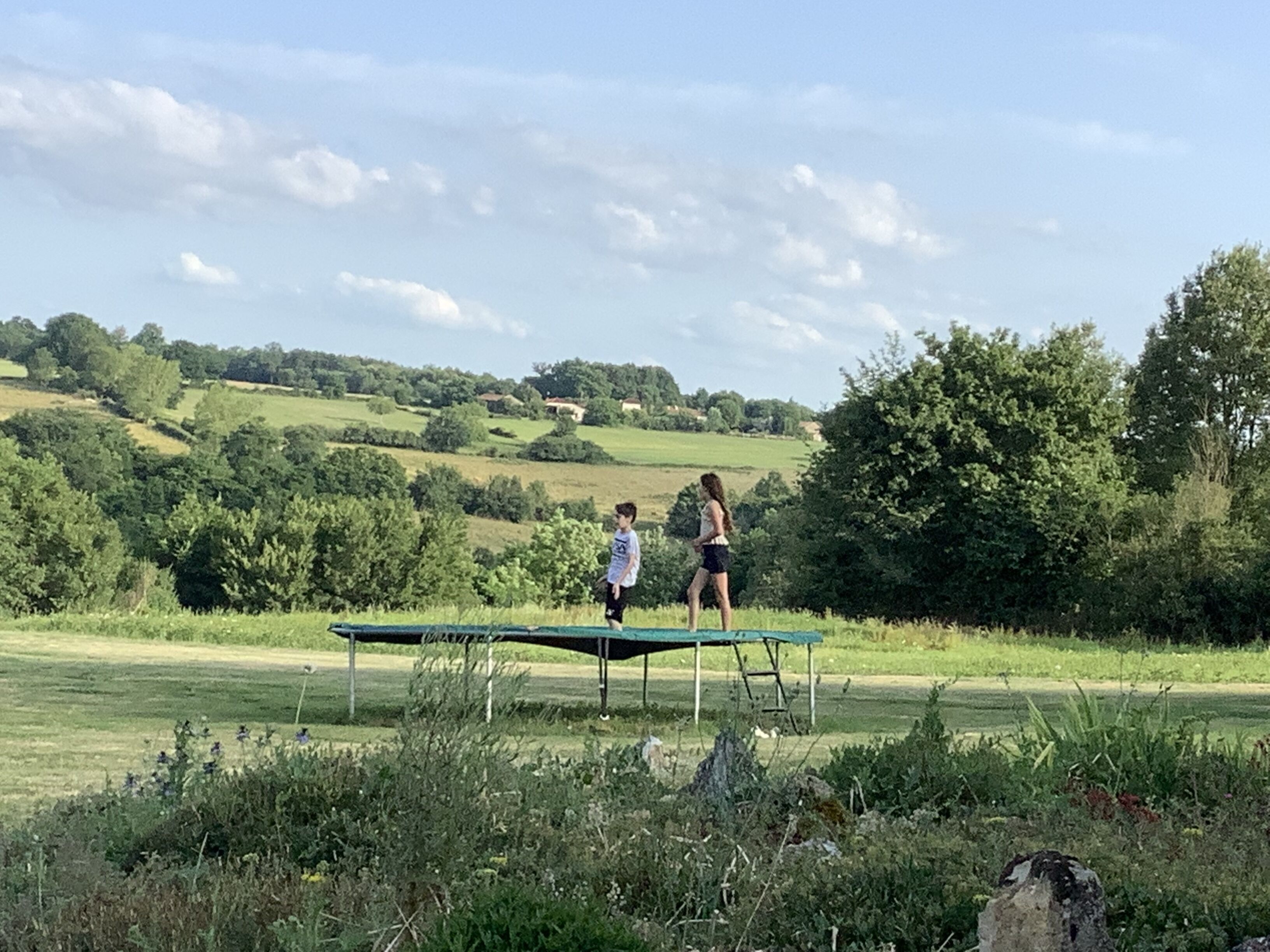 A trampoline in an outdoor setting with a grassy field and trees in the background.