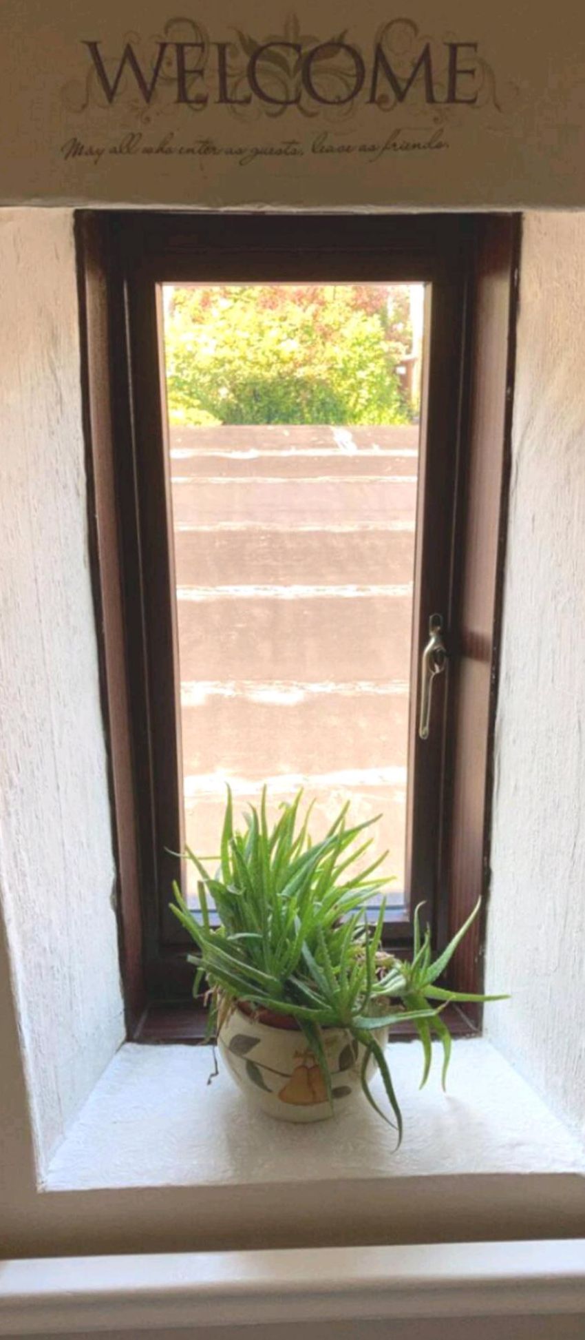 Ein Fenster mit einem Willkommensschild darüber, ein Blumentopf auf der Fensterbank und Blick auf eine Ziegelwand und Grünpflanzen draußen.