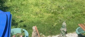 Townhouse Wexford - Private Garden
