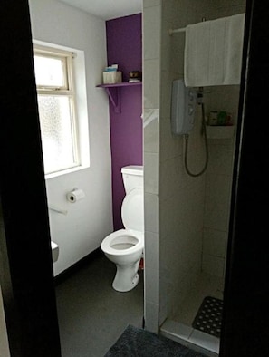 A bathroom with a toilet, a shower, and a window.